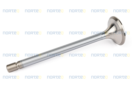 467855 EXHAUST VALVE