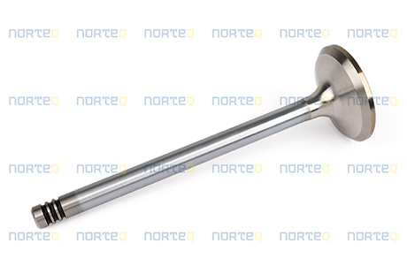 21739130 EXHAUST VALVE