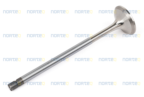 20513285 EXHAUST VALVE