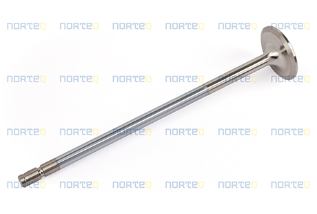 3169490 INLET VALVE