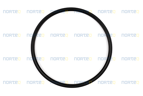 17200049 SEALING RING