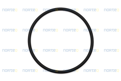 980102 O-RING