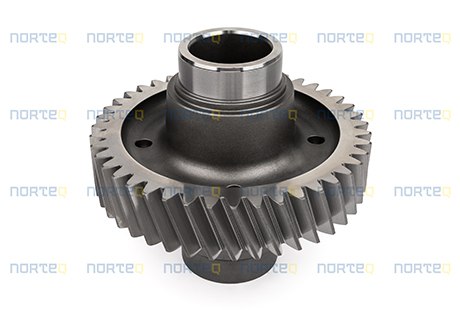 11037843 GEAR