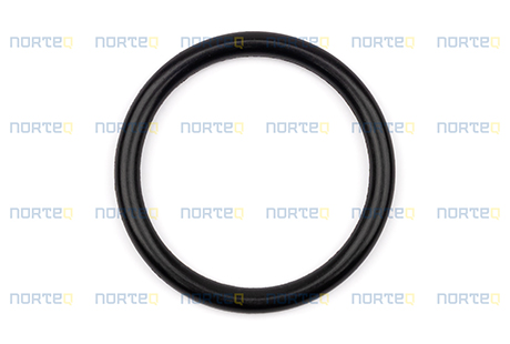 14533611 O-RING
