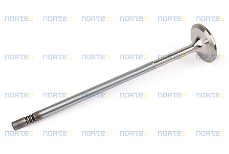 20540017 INLET VALVE