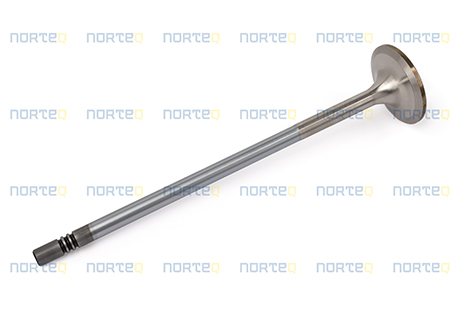 20740798 INLET VALVE
