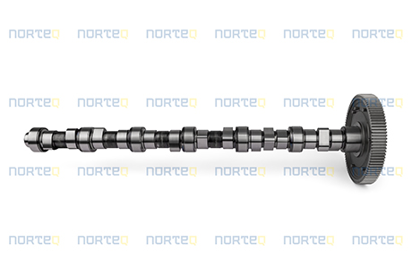 22216525 CAMSHAFT