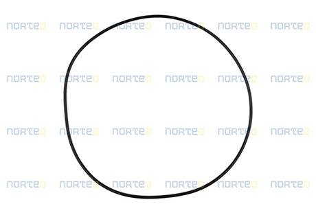 11064598 O-RING