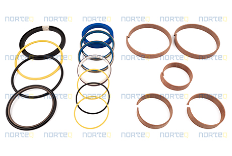 11709829-GR SEALING KIT WITH GUIDE RING