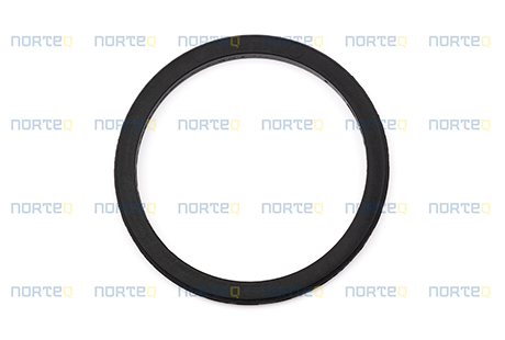 990757 SEALING RING