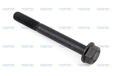 13965181 FLANGE SCREW