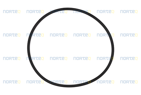 11989797 SEALING RING