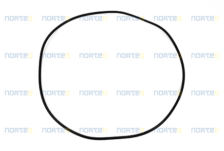 15051885 SEALING RING