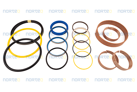 11999894-GR SEALING KIT WITH GUIDE RING