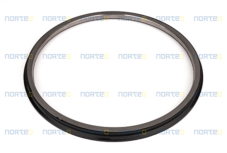 11034165 SEALING RING