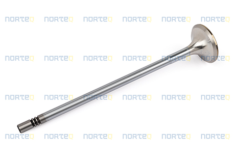 20768519 EXHAUST VALVE