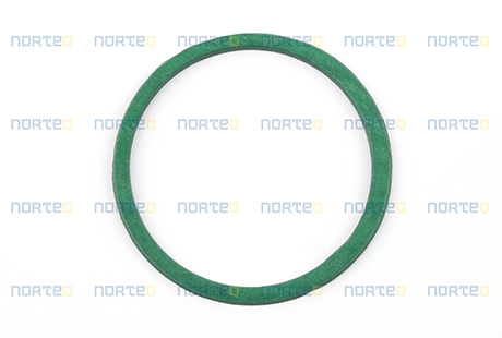 1556907 GASKET
