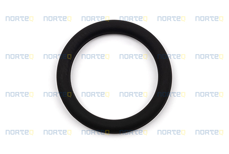925057 O-RING