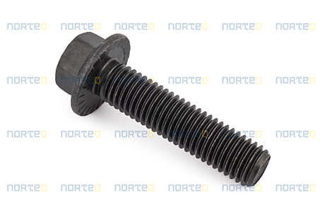 60113111 FLANGE SCREW