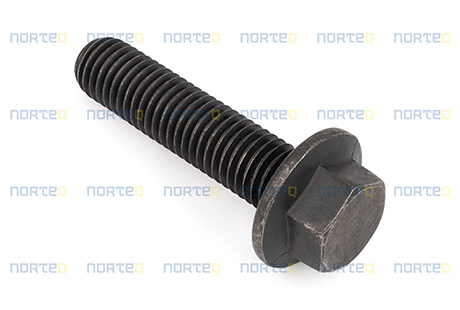 13965193 FLANGE SCREW