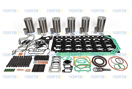 15011856 OVERHAUL KIT