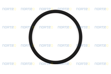 976041 O-RING