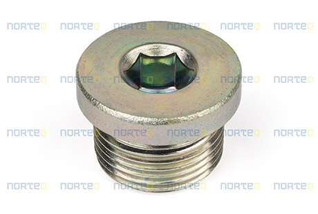 13966145 PLUG