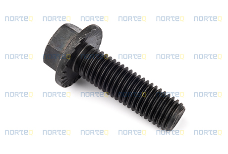 60113109 SCREW