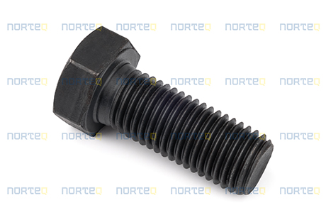 60113480 FLANGE SCREW