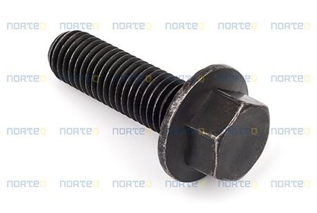 13965192 FLANGE SCREW