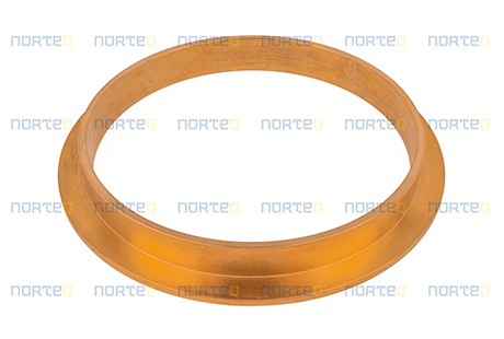 4954080 BEARING RACE
