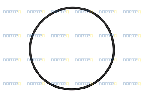 11145532 SEALING RING