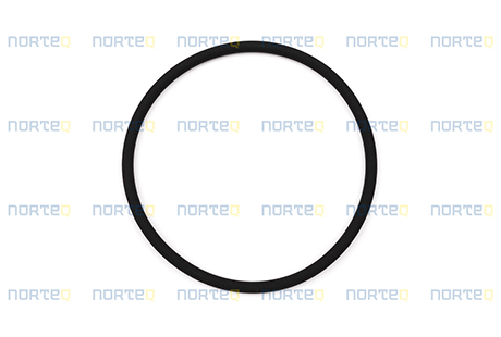 11999328 SEALING RING