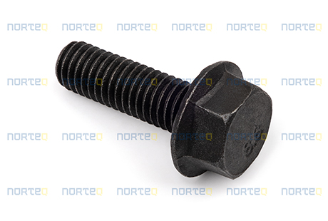 984735 FLANGE SCREW