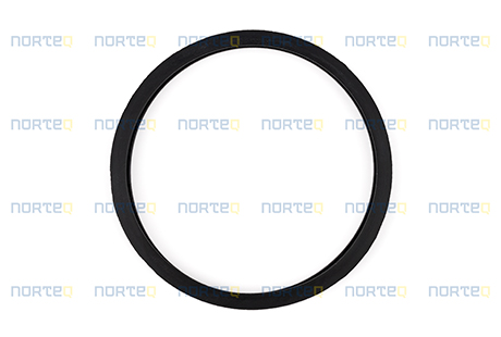 20459961 SEALING RING