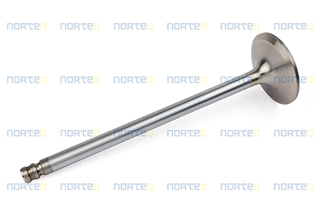 420553 INLET VALVE