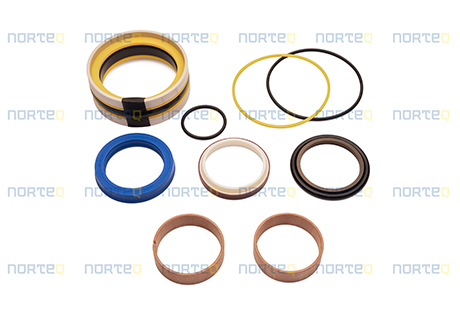 11709029-GR SEALING KIT WITH GUIDE RING