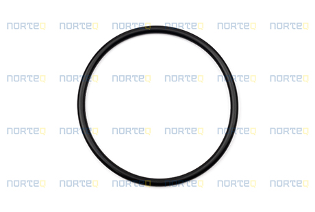 925092 O-RING