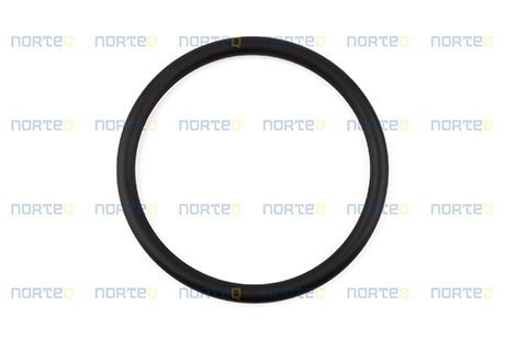 925075 O-RING