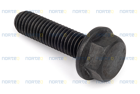 984736 FLANGE SCREW