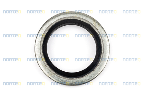 20852762 SEALING RING