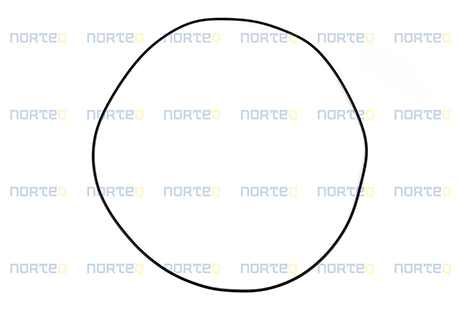 11035031 O-RING