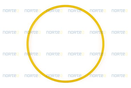 4880877 SUPPORT RING