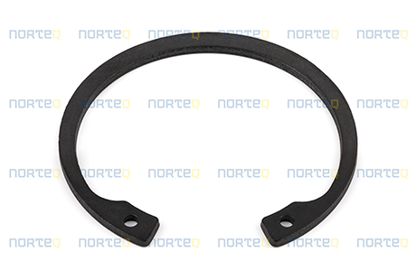 20459025 RETAINING RING