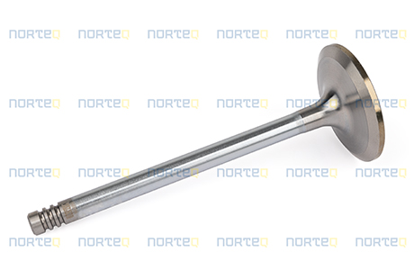 20798699 INLET VALVE