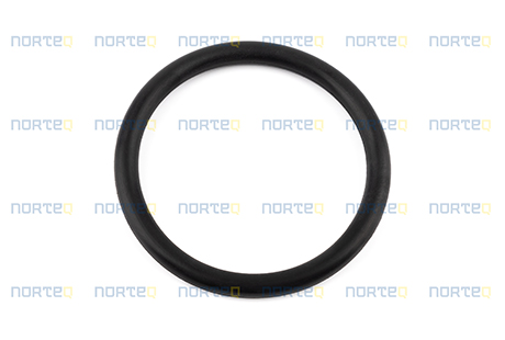 20459193 SEALING RING