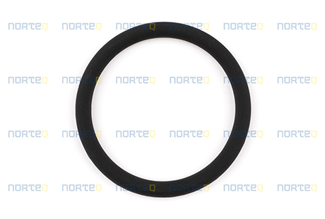 11994450 O-RING