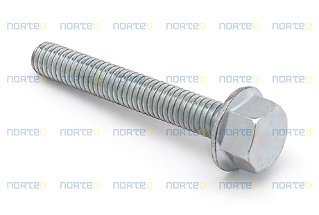 13965176 FLANGE SCREW