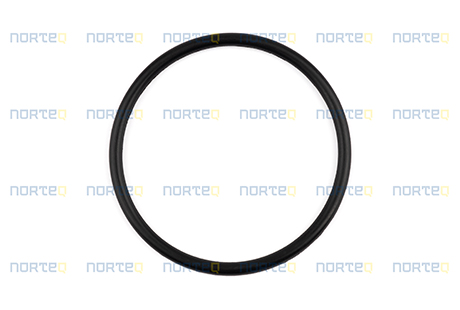 11419513 O-RING