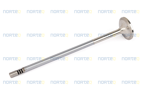 20528113 INLET VALVE